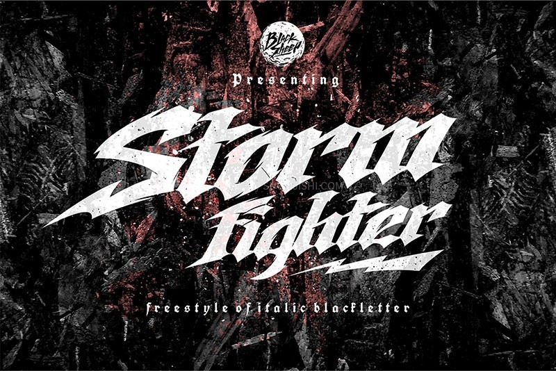 Storm FighterʽӢ